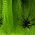 Picture of Green Spiderweb