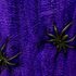 Picture of Purple Spiderweb
